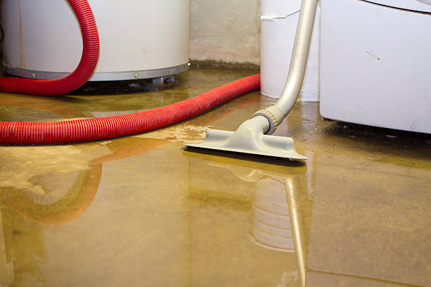 Trusted Hidden Springs, ID Water damage restoration Experts